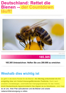 Bienenkampagne 2013